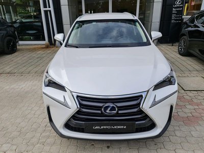 Lexus UX Hybrid Executive, Anno 2020, KM 50000 - hovedbillede